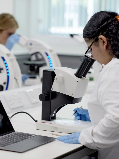 International Summer Schools